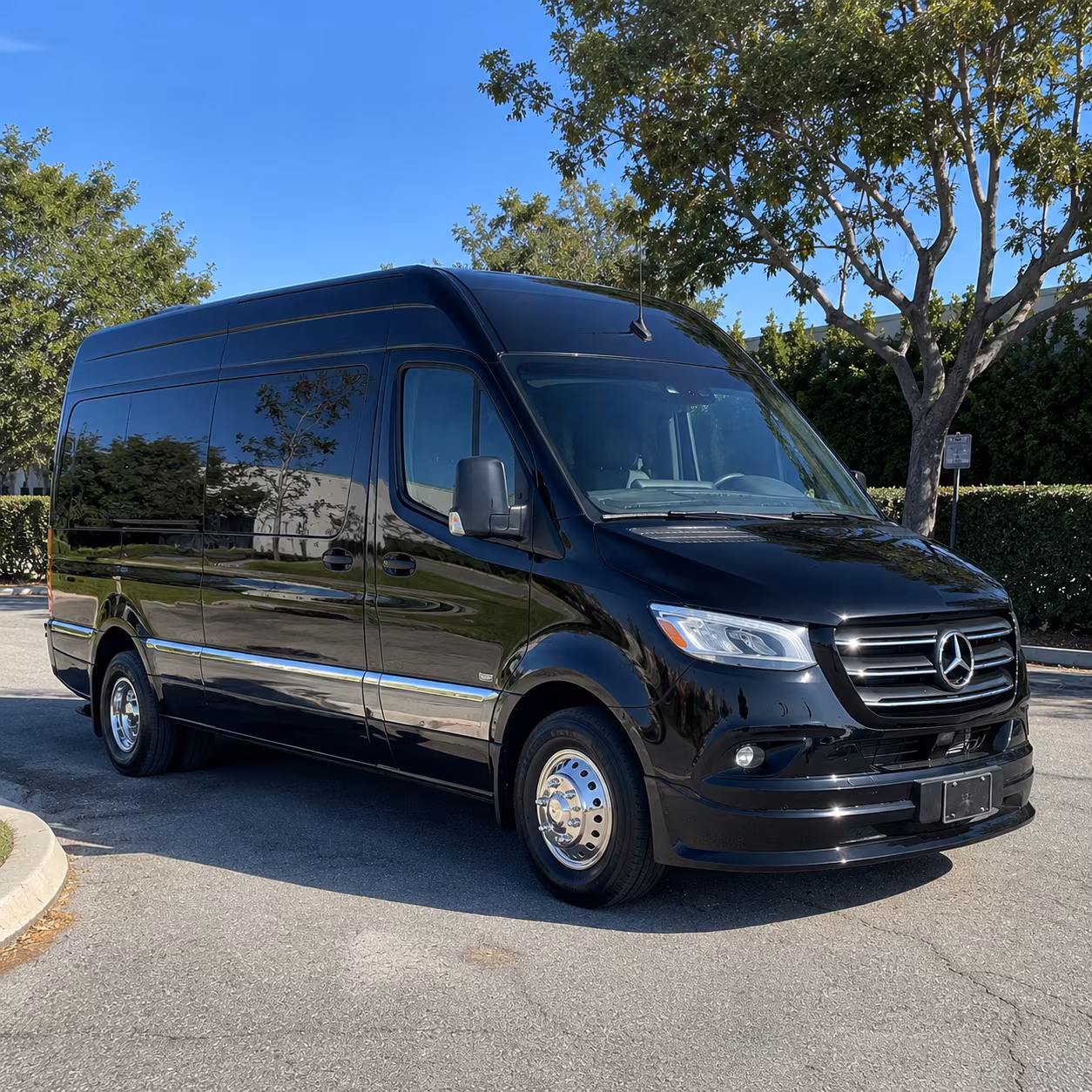 newark sprinter van with driver